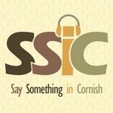Say Soimething in Cornish